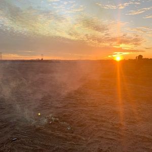 Meet your Posher, Adela